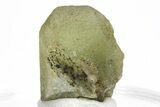 Green Olivine Peridot Crystal - Pakistan #213516-1